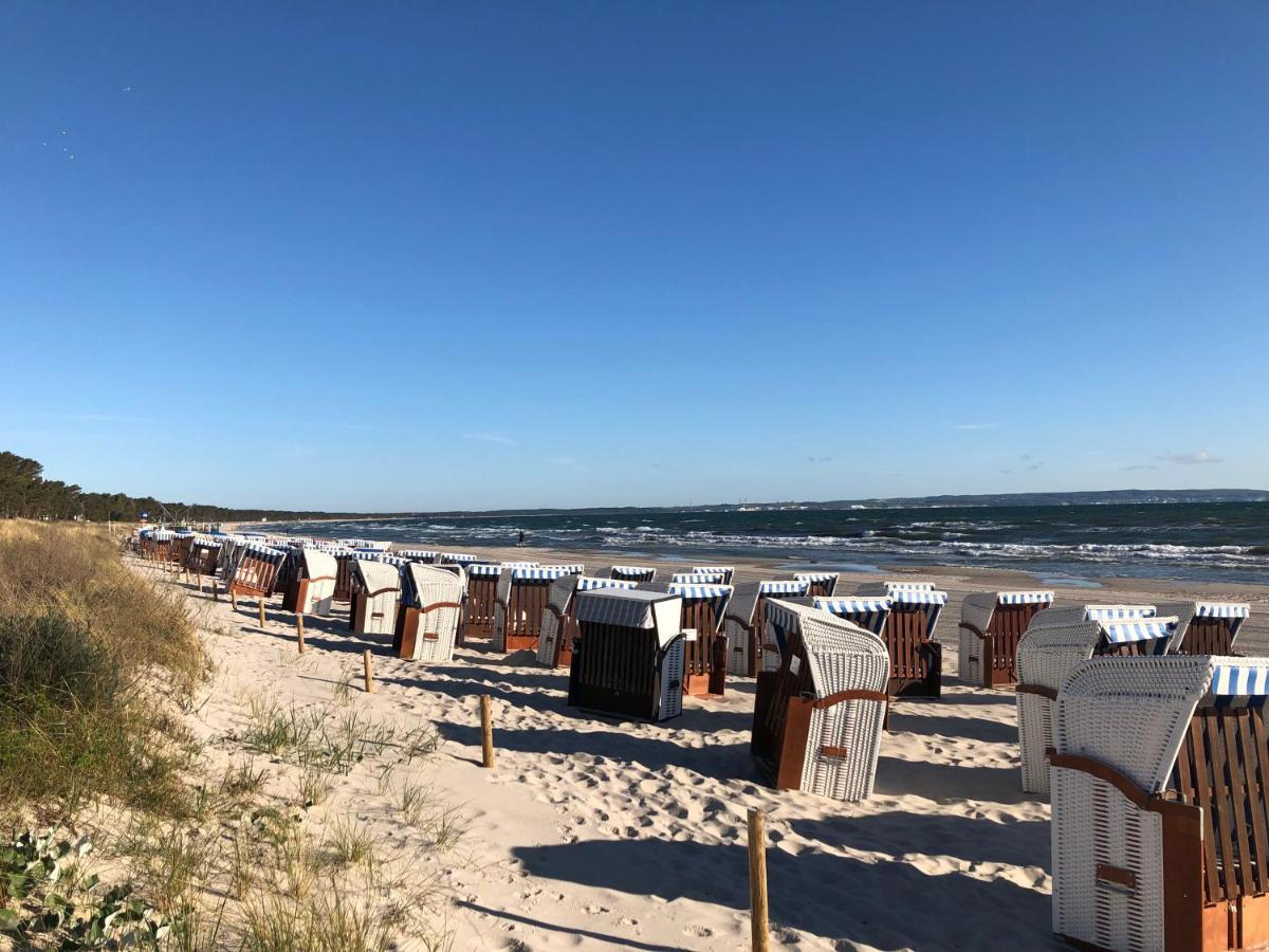 Villa Helene mit Meerblick in Top Lage - Seemöwe mit Strandkorb am Strand Ostseebad Ostseebad Binz Exterior foto