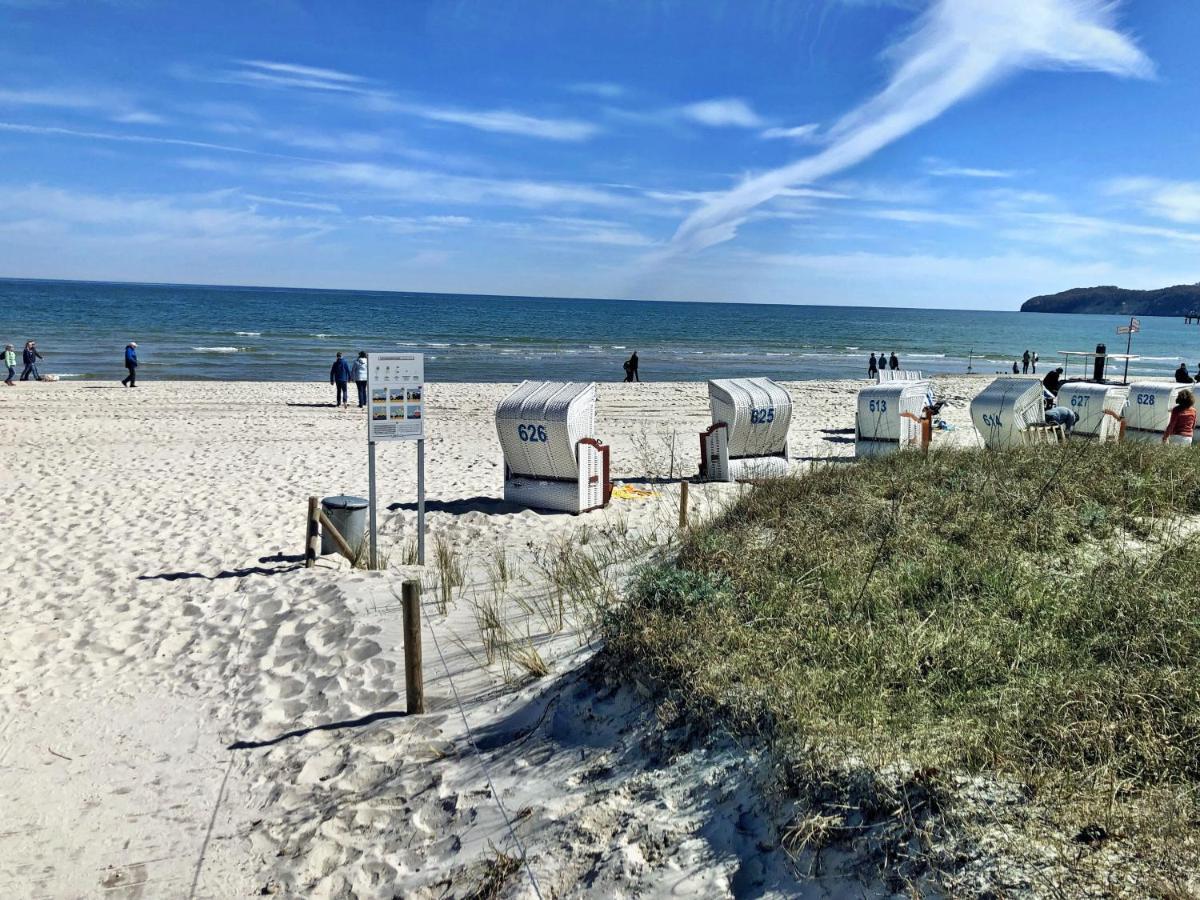 Villa Helene mit Meerblick in Top Lage - Seemöwe mit Strandkorb am Strand Ostseebad Ostseebad Binz Exterior foto